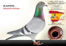 NL 24-4724740